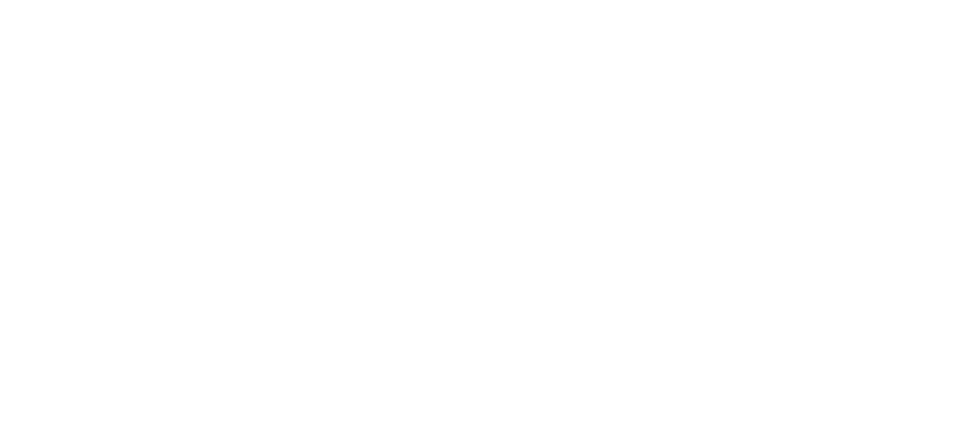 Precision Business & IT Talent White Logo